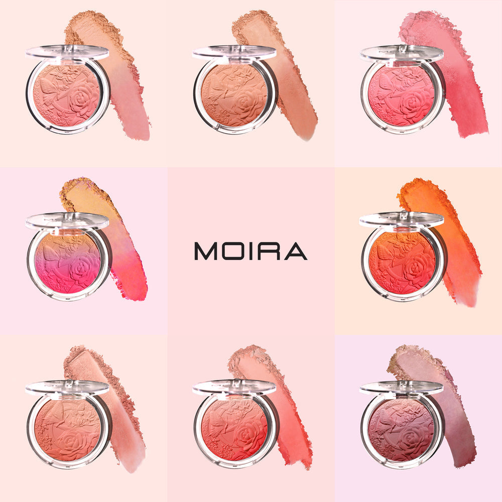 MOIRA Signature Ombre Blush #SOBSET w/Display 48pcs Display + Tester