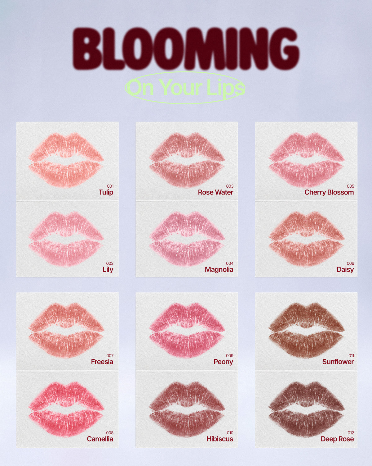 MOIRA Blur Lip Contour / 3pcs pack