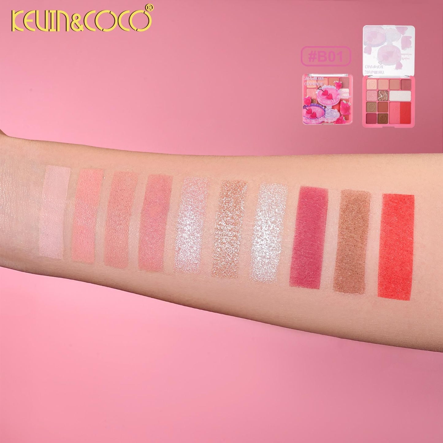 KEVIN&COCO 12 Color shadow / 24pcs Display
